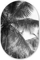 Muurovaal - Kunststof Wanddecoratie - Ovalen Schilderij - Palmbladeren - Vintage - Natuur - 80x120 cm - Ovale spiegel vorm op kunststof