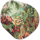 Organische Wanddecoratie - Kunststof Muurdecoratie- Organisch Schilderij - Bloemen - Kunst - Vintage - Natuur - Botanisch- 90x90 cm - Organische spiegel vorm op kunststof