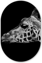 Muurovaal - Kunststof Wanddecoratie - Ovalen Schilderij - Dieren - Giraffe - Zwart - Wit - 40x60 cm - Ovale spiegel vorm op kunststof