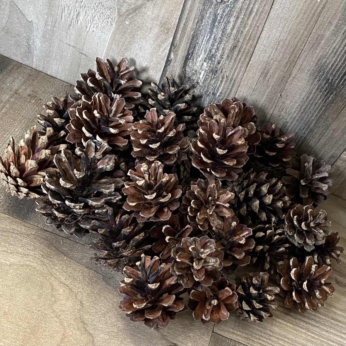 Dennenappels 35 stuks Puur Natuur 47 cm Herfst Winter