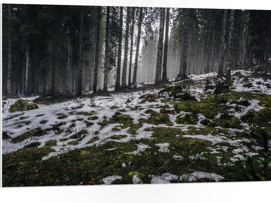 WallClassics - Panneau en mousse PVC - Arbres étroits dans une forêt avec de petits morceaux de neige - Photo 105x70 cm sur panneau en mousse PVC (avec système de suspension)