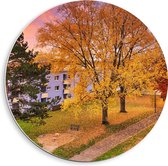 WallClassics - PVC Schuimplaat Muurcirkel - Herfstbomen in Dorpje - 40x40 cm Foto op Muurcirkel (met ophangsysteem)