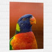 WallClassics - Muursticker - Hoofd van Kleurrijke Loriini Vogel - 70x105 cm Foto op Muursticker