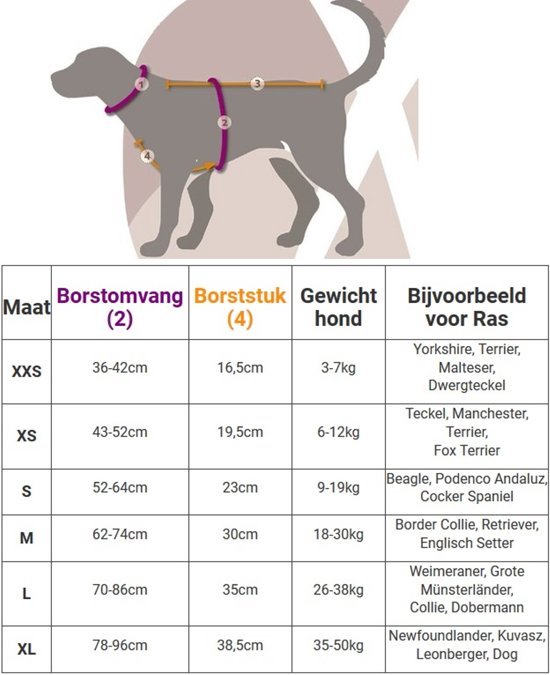 Anny X hondentuig maat XL - dog coaching gelderland