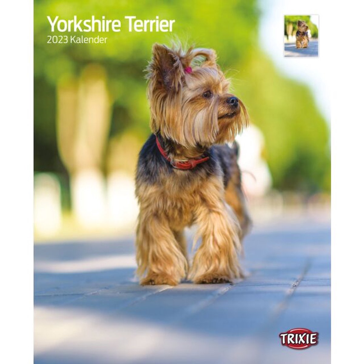 Trixie Kalender Yorkshire terriërs