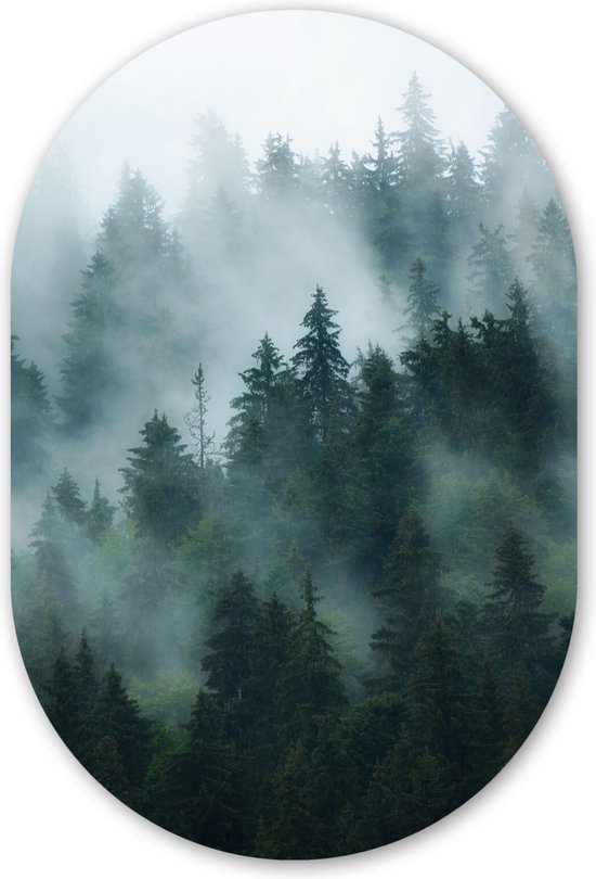 Muurovaal - Kunststof Wanddecoratie - Ovalen Schilderij - Mist - Bomen - Bos - 40x60 cm - Ovale spiegel vorm op kunststof
