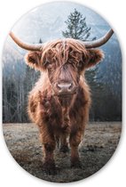 Wall Oval - Décoration murale Plastique - Peinture Ovale - Highlander écossais - Vache - Animaux - Berg - Nature - 40x60 cm - Miroir ovale sur plastique