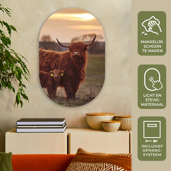 Wall Oval - Décoration murale en plastique - Peinture ovale - Highlander écossais - Animaux - Paysage - Coucher de soleil - 60x90 cm - Forme miroir ovale sur plastique