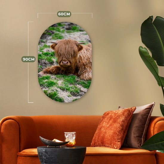Ovale mural - Décoration murale en plastique - Peinture ovale - Highlander écossais - Foin - Herbe - 60x90 cm - Forme miroir ovale sur plastique