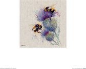 Bijen op distel Art Print Jane Bannon 30x30cm | Poster