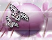 Fotobehangkoning - Behang - Vliesbehang - Fotobehang - Fly, Butterfly! - Vlinders - 400 x 309 cm