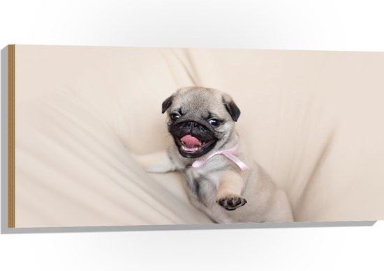 WallClassics - Hout - Mopshond Puppy op een Beige Kleed - 100x50 cm - 12 mm dik - Foto op Hout (Met Ophangsysteem)