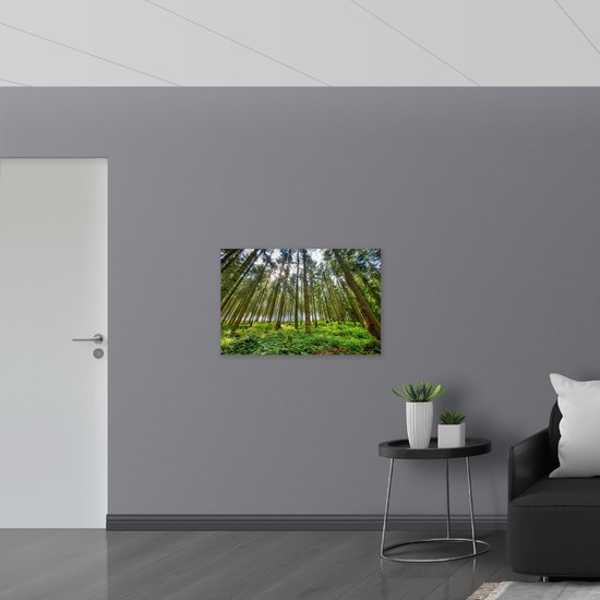 WallClassics - Panneau en mousse PVC - Forêt entièrement verte - Photo 90x60 cm sur panneau en mousse PVC