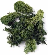 Mia Milano Ijslands mos I Geconserveerd decoratief materiaal voor knutselen I Duurzaam natuurlijk voor mosfoto's I Herbruikbaar bolmos (250 g, limegroen