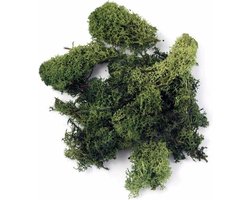 Rayher hobby Decoratie mos - 2x - donkergroen - 100 gram - Knutselen/bloemisterij materialen voor o.a. kerststukjes maken