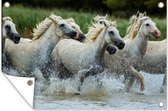 Muurdecoratie Paarden - Water - Natuur - 180x120 cm - Tuinposter - Tuindoek - Buitenposter