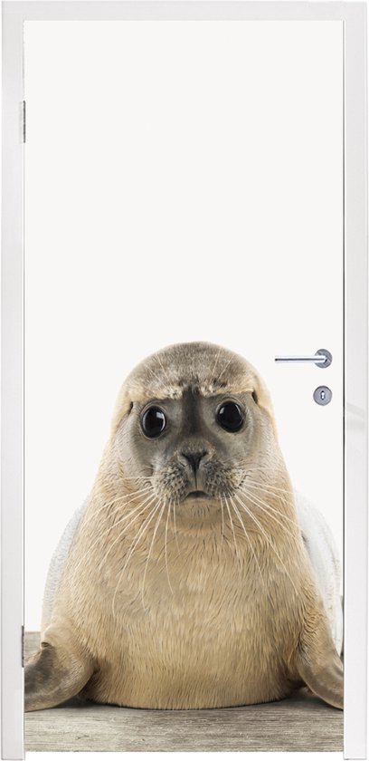 Deurposter 85x205 cm - Deursticker Zeehond - Dieren - Kind - Jongens - Meisjes - Kinderen - Meubelfolie zelfklevend - Deurfolie woonkamer - Interieurfolie fotobehang - Deur plakfolie - Deurstickers - Deurbehang sticker - Kamer decoratie