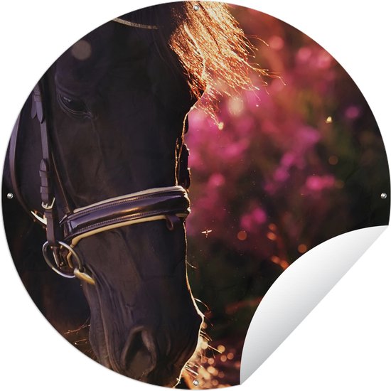 Tuincirkel Paard - Zon - Portret - 60x60 cm - Ronde Tuinposter - Buiten