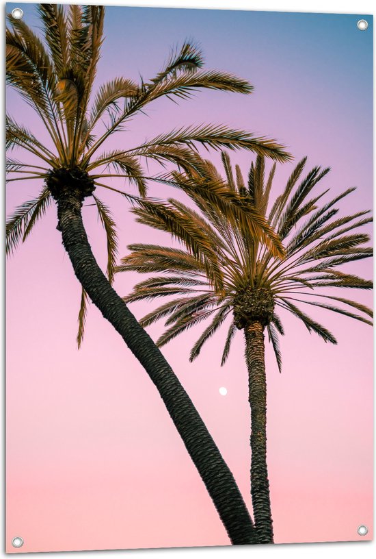 WallClassics - Tuinposter – Twee Palmbomen bij Roze-Blauwe Lucht - 70x105 cm Foto op Tuinposter  (wanddecoratie voor buiten en binnen)