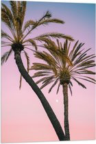 WallClassics - Vlag - Twee Palmbomen bij Roze-Blauwe Lucht - 60x90 cm Foto op Polyester Vlag