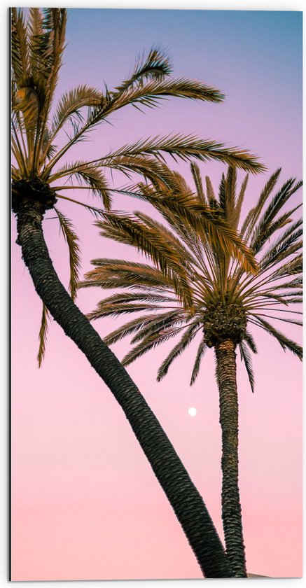 WallClassics - Dibond - Twee Palmbomen bij Roze-Blauwe Lucht - 50x100 cm Foto op Aluminium (Met Ophangsysteem)