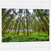 WallClassics - Muursticker - Vol Groen Bos - 80x60 cm Foto op Muursticker