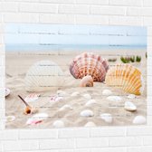 WallClassics - Muursticker - Schelpjes in het Zand op het Strand - 100x75 cm Foto op Muursticker