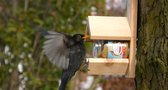 The bird family - Vogelpindakaas Classic - tuinvogelvoer - 36 x 360 gram - Voordeel Pack