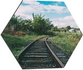 WallClassics - Dibond Hexagon - Spoorweg door Landschap - 50x43.5 cm Foto op Hexagon (Met Ophangsysteem)