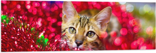 WallClassics - Drapeau - Chat parmi les Fleurs Rouges - 120x40 cm Photo sur Drapeau Polyester