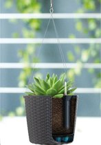 Kunststof Rato antraciet hangende rotan bloempotten/plantenpotten - 25 cm - Binnen/buiten decoratie hang bloempot/plantenpot