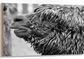 WallClassics - Hout - Natte Alpaca Zwart - Wit - 105x70 cm - 12 mm dik - Foto op Hout (Met Ophangsysteem)