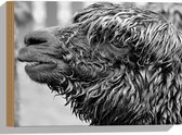 WallClassics - Hout - Natte Alpaca Zwart - Wit - 40x30 cm - 12 mm dik - Foto op Hout (Met Ophangsysteem)