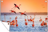 Tuindecoratie Vogel - Flamingo - Water - Zonsondergang - Roze - 60x40 cm - Tuinposter - Tuindoek - Buitenposter