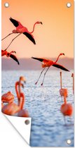 Tuinposter Vogel - Flamingo - Water - Zonsondergang - Roze - 40x80 cm - Wanddecoratie Buiten - Tuinposter - Tuindoek - Schuttingposter - Tuinschilderij
