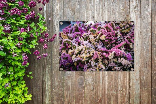 Une forêt avec la statice affiche de jardin fleuri 60x40 cm - petit - Toile de jardin / Toile d'extérieur / Peintures pour l'extérieur (décoration de jardin)