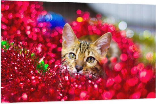 WallClassics - Drapeau - Chat parmi les Fleurs Rouges - 120x80 cm Photo sur Drapeau Polyester