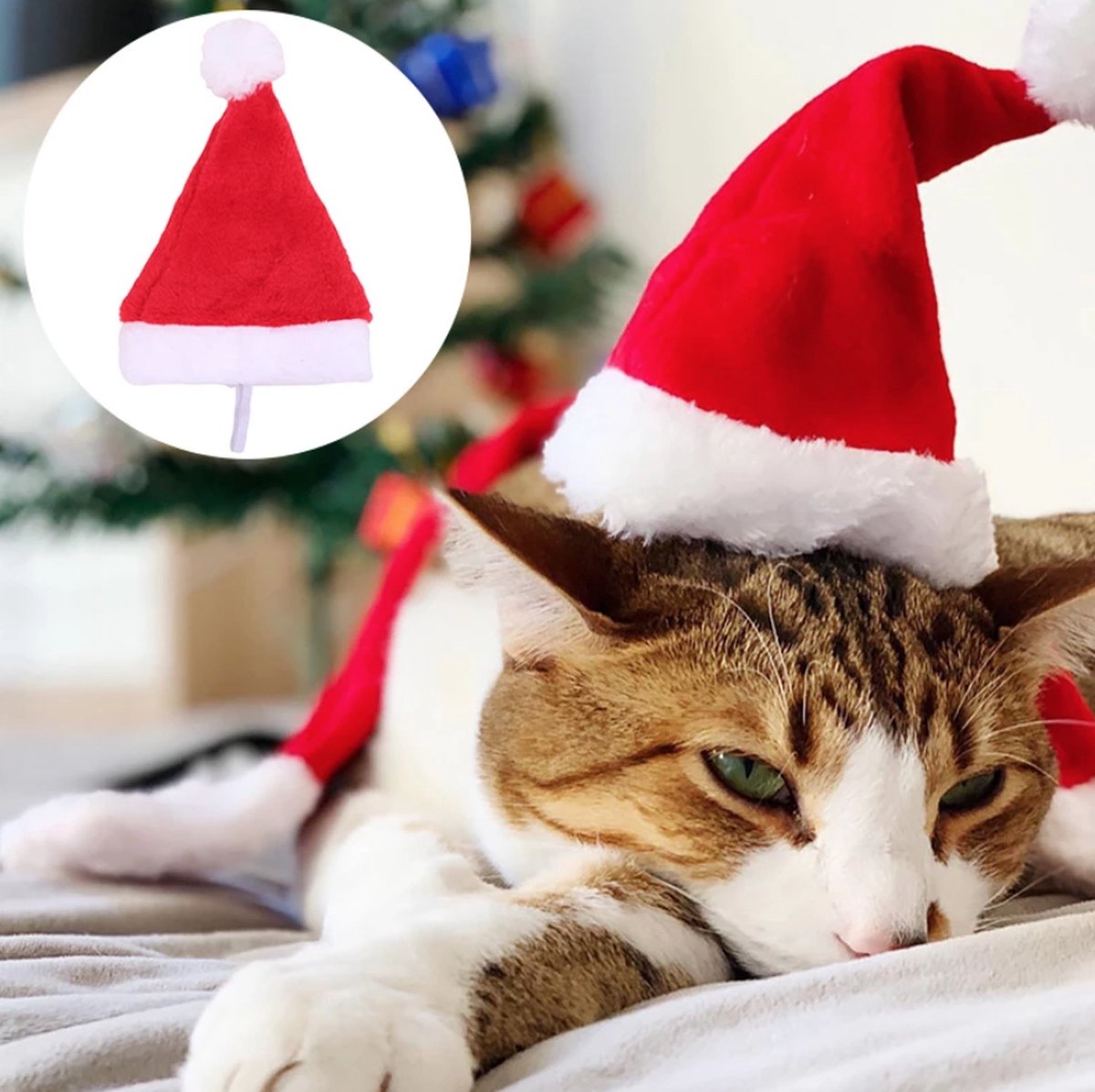 Chapeau de Noël Chien Chat avec ficelle - Vêtement pour animaux - Rouge /  Wit - Noël -... | bol.com