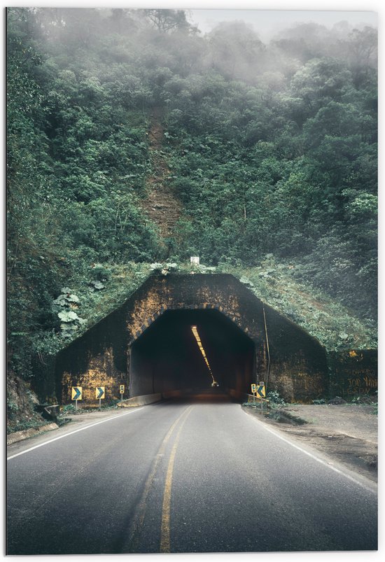 WallClassics - Dibond - Weg richting Tunnel in Berg - 70x105 cm Foto op Aluminium (Met Ophangsysteem)