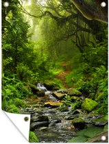 Tuinschilderij Natuur - Water - Jungle - Bos - Tropisch - 60x80 cm - Tuinposter - Tuindoek - Buitenposter