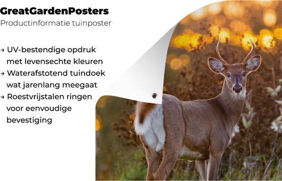 Décoration murale extérieure Cerf - Plantes - Coucher de soleil - Animaux sauvages - Nature - 160x80 cm - Toile jardin - Poster extérieur