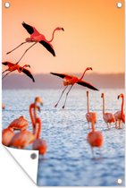 Tuindecoratie Vogel - Flamingo - Water - Zonsondergang - Roze - 40x60 cm - Tuinposter - Tuindoek - Buitenposter