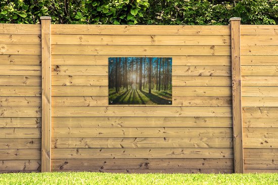 Tuinschilderij Zon - Bomen - Landschap - Gras - 80x60 cm - Tuinposter - Tuindoek - Buitenposter