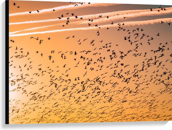 WallClassics - Canvas  - Heel veel Vogels in de Lucht met Zonsondergang - 100x75 cm Foto op Canvas Schilderij (Wanddecoratie op Canvas)