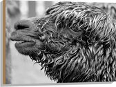 WallClassics - Hout - Natte Alpaca Zwart - Wit - 80x60 cm - 12 mm dik - Foto op Hout (Met Ophangsysteem)