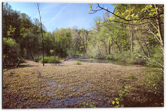 WallClassics - Dibond - Zone marécageuse - 60x40 cm Photo sur Aluminium (Décoration murale en métal)