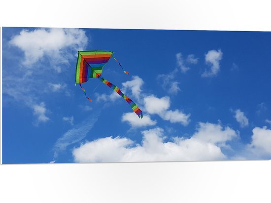 WallClassics - PVC Schuimplaat - Regenboog Vlieger in de Lucht - 100x50 cm Foto op PVC Schuimplaat (Met Ophangsysteem)