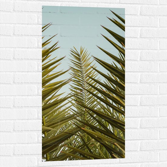 WallClassics - Muursticker - Palmboom Planten met Blauwe Lucht - 50x100 cm Foto op Muursticker