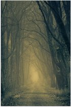 WallClassics - Poster Glanzend – Mist op Bospad Omringd door Bomen - 80x120 cm Foto op Posterpapier met Glanzende Afwerking