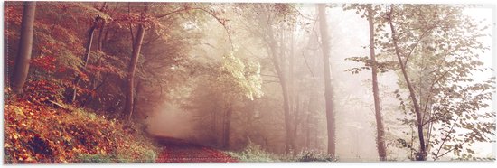 WallClassics - Vlag - Mistig Herfstbos - 60x20 cm Foto op Polyester Vlag